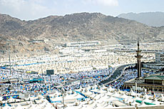 World Media Converge on Mina